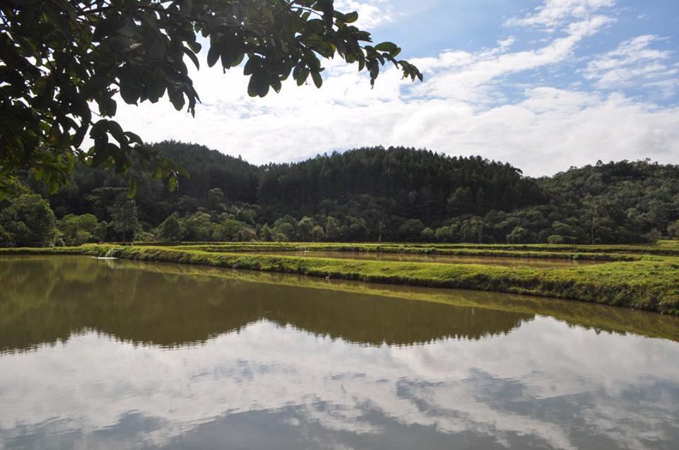 Pousada Lindnerhof Rio dos Cedros Exteriér fotografie